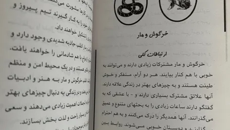 1245095 6522391 64118c8a3fecd 900p کتاب طالع بینی